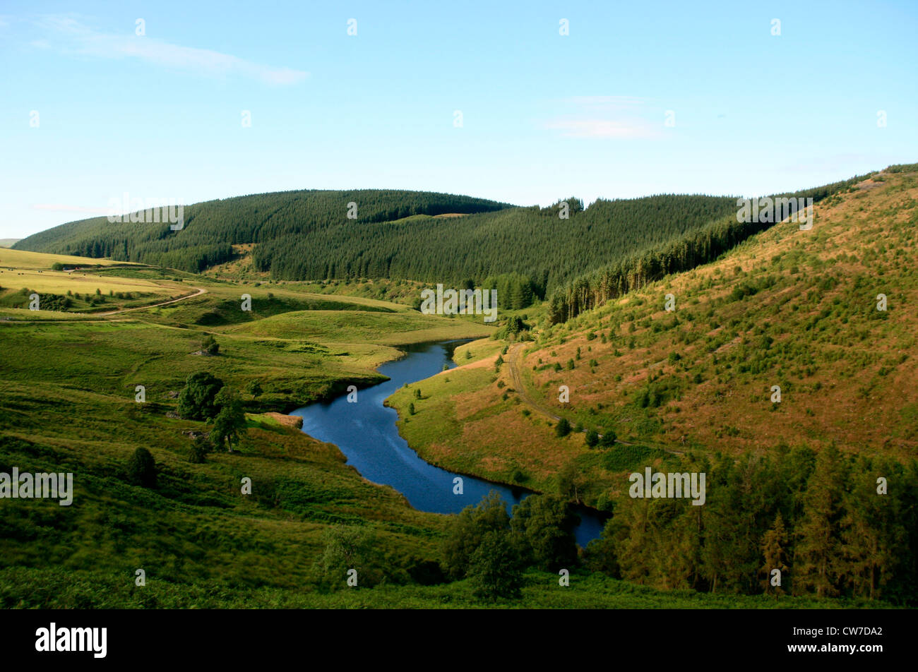 Llyn Brianne und der Fluss Twyi, in der Nähe von Llanwrtyd Wells, Powys, Wales Stockfoto