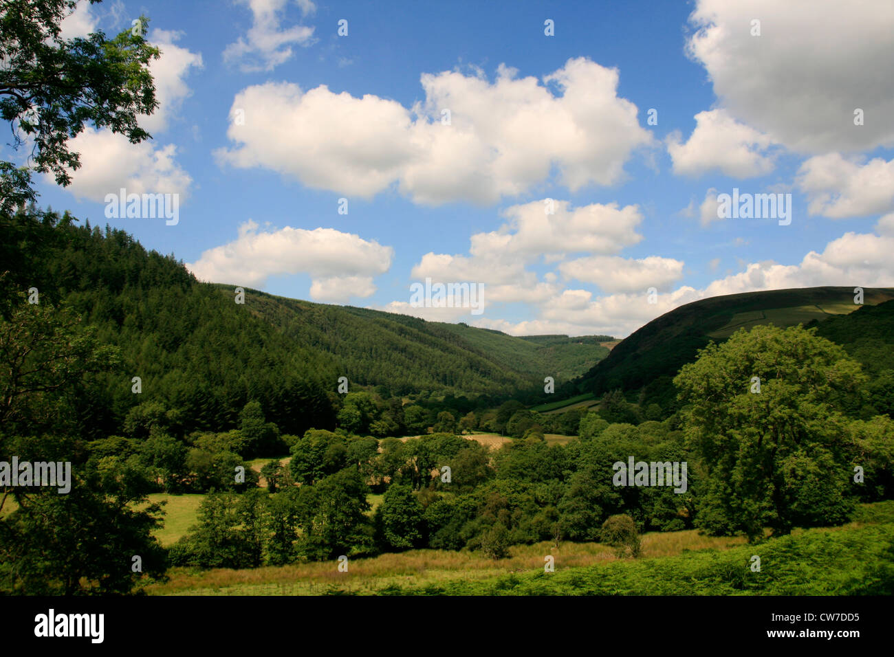 Landschaft-Tal in der Nähe von Llanwrtyd Wells, Powys, Wales Stockfoto