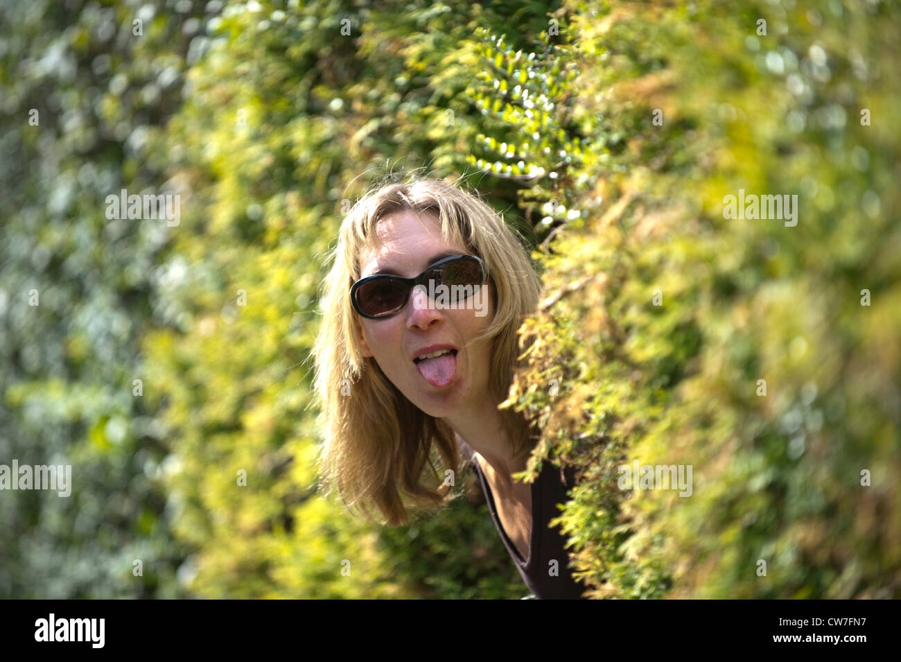 blonde Frau mit Sonnenbrille aus einer Hecke und stecken ihre Zunge jout Stockfoto