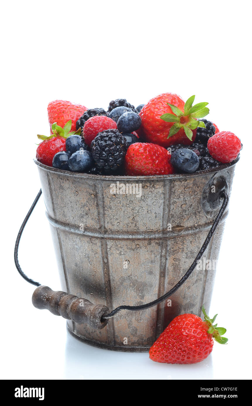 Verschiedene frisch gepflückten Beeren in einen Eimer mit einem hölzernen Griff auf einem weißen Hintergrund. Hochformat mit Reflexion. Stockfoto