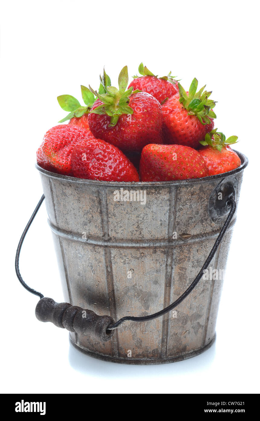 Einen Eimer voll mit frisch gepflückten Erdbeeren. Hochformat isoliert auf weißem Hintergrund mit leichten Reflexion. Stockfoto