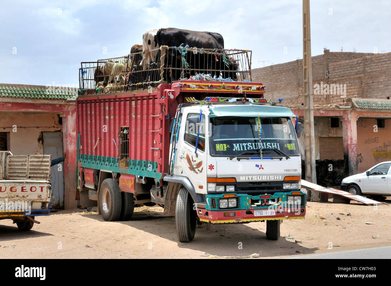 Transport von Tieren mit Rinder und Schafe auf der Oberseite, Marokko Stockfoto
