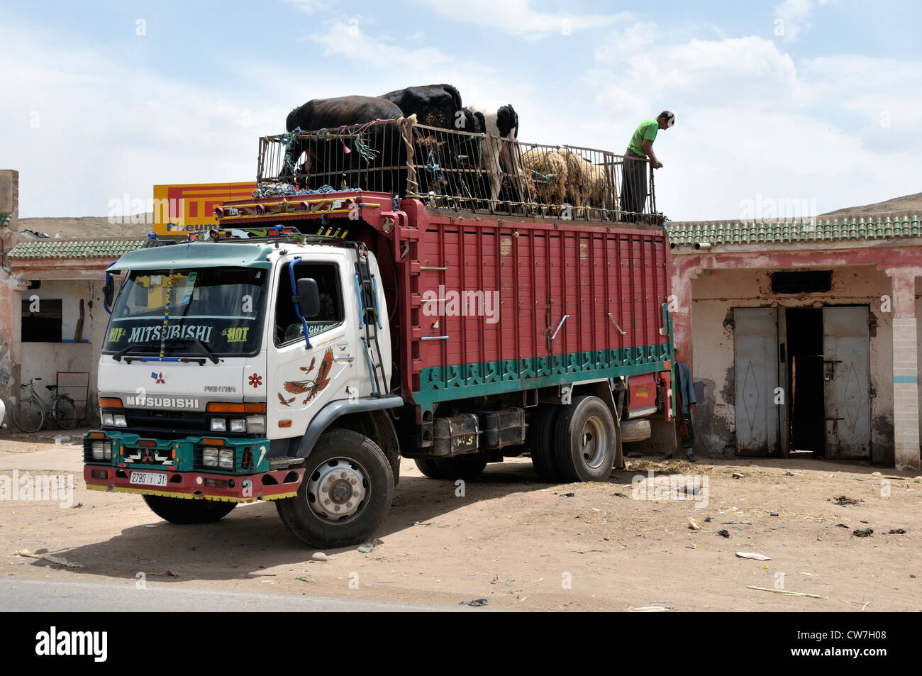 Transport von Tieren mit Rinder und Schafe auf der Oberseite, Marokko Stockfoto