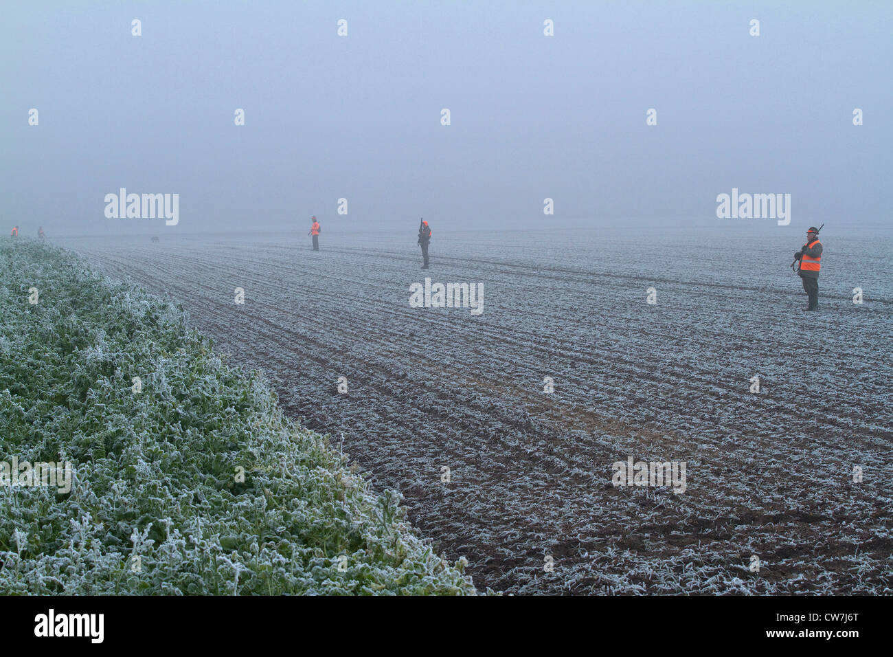 Jäger auf Feld im November, Deutschland Stockfoto