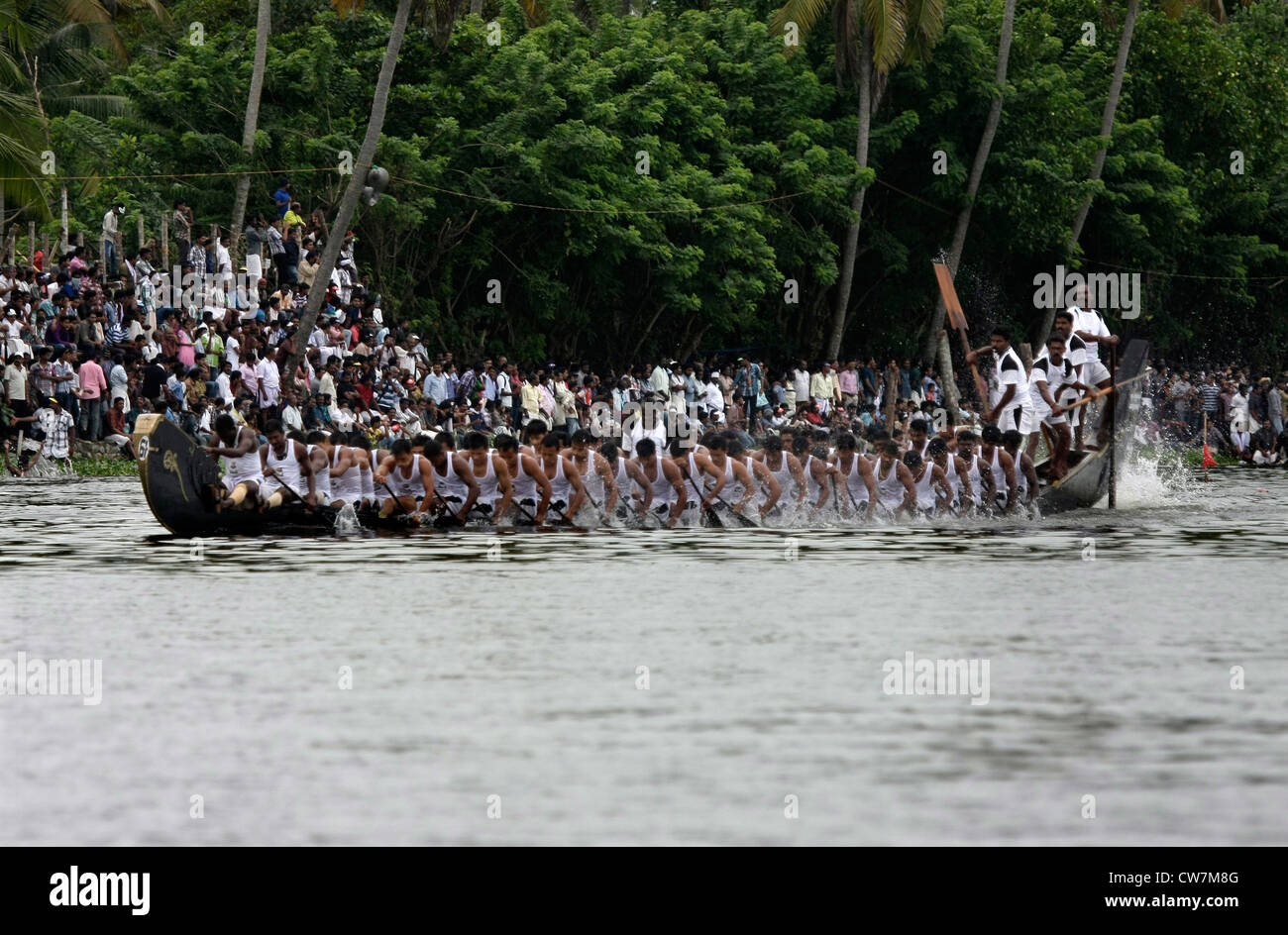 Ruderern aus Nehru Trophäe-Regatta in Alappuzha wieder Wasser früher bekannt als Alleppey, Kerala, Indien Stockfoto