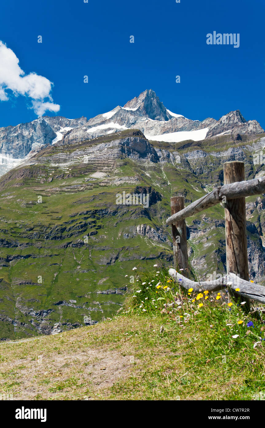 Panoramablick im Sommer der Schweizer Alpen wie gesehen von Sunnegga, Zermatt, Wallis, Schweiz Stockfoto