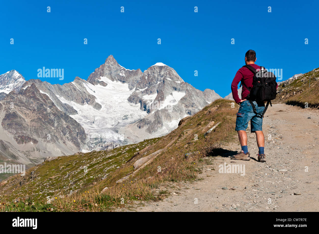Erwachsene männliche Wanderer beobachten das Panorama über die Alpen, Zermatt, Wallis oder Wallis, Schweiz Stockfoto