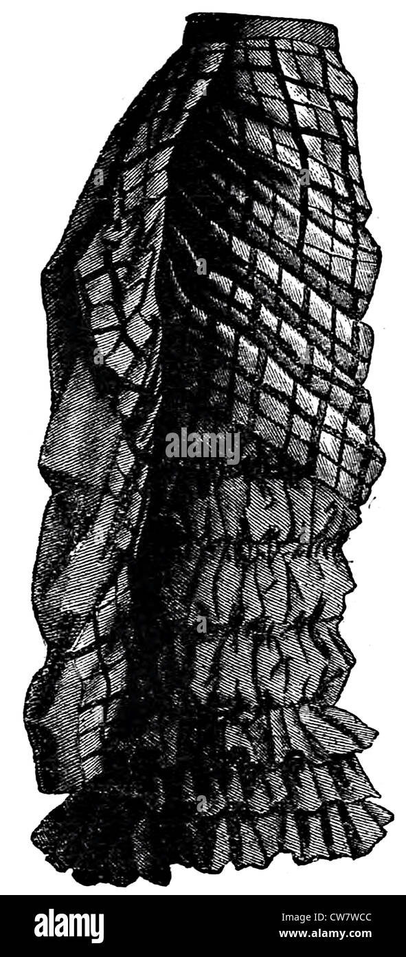 Rock-Damenmode im Jahre 1881 Stockfoto