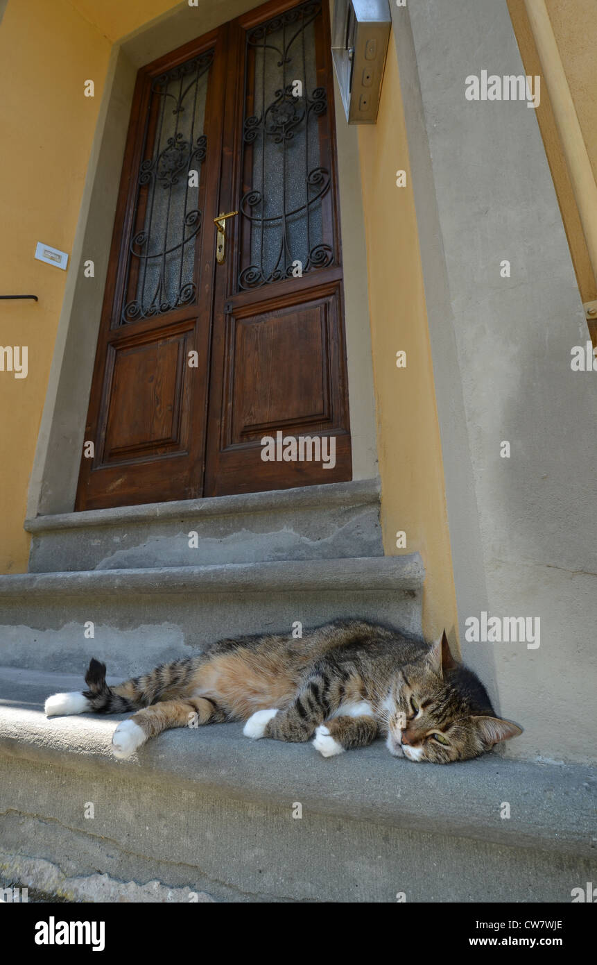 Barga, Lucca, Italien Stockfoto