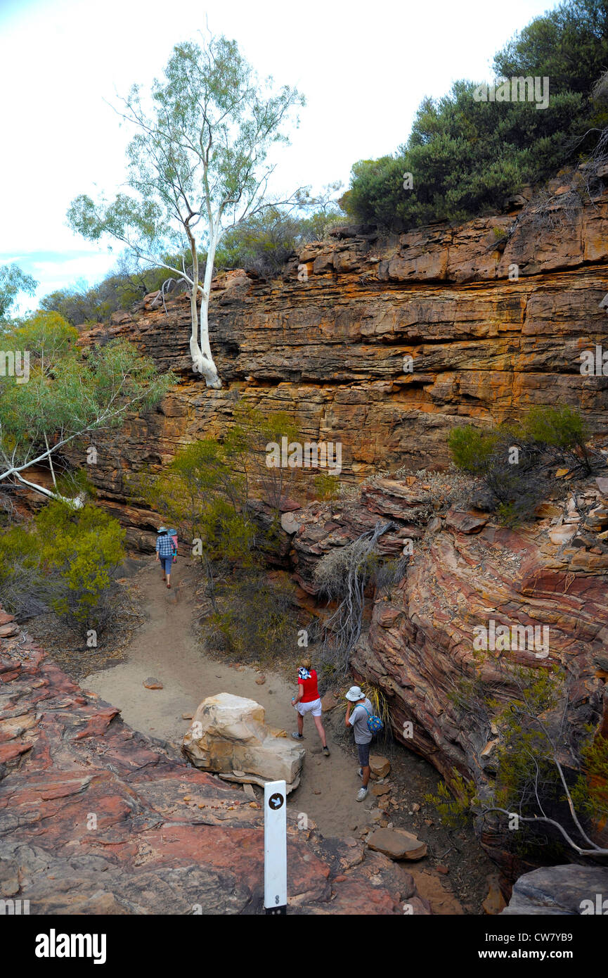 Die Schlucht der Wanderweg in den Kalbarri National Park-Westaustralien Stockfoto