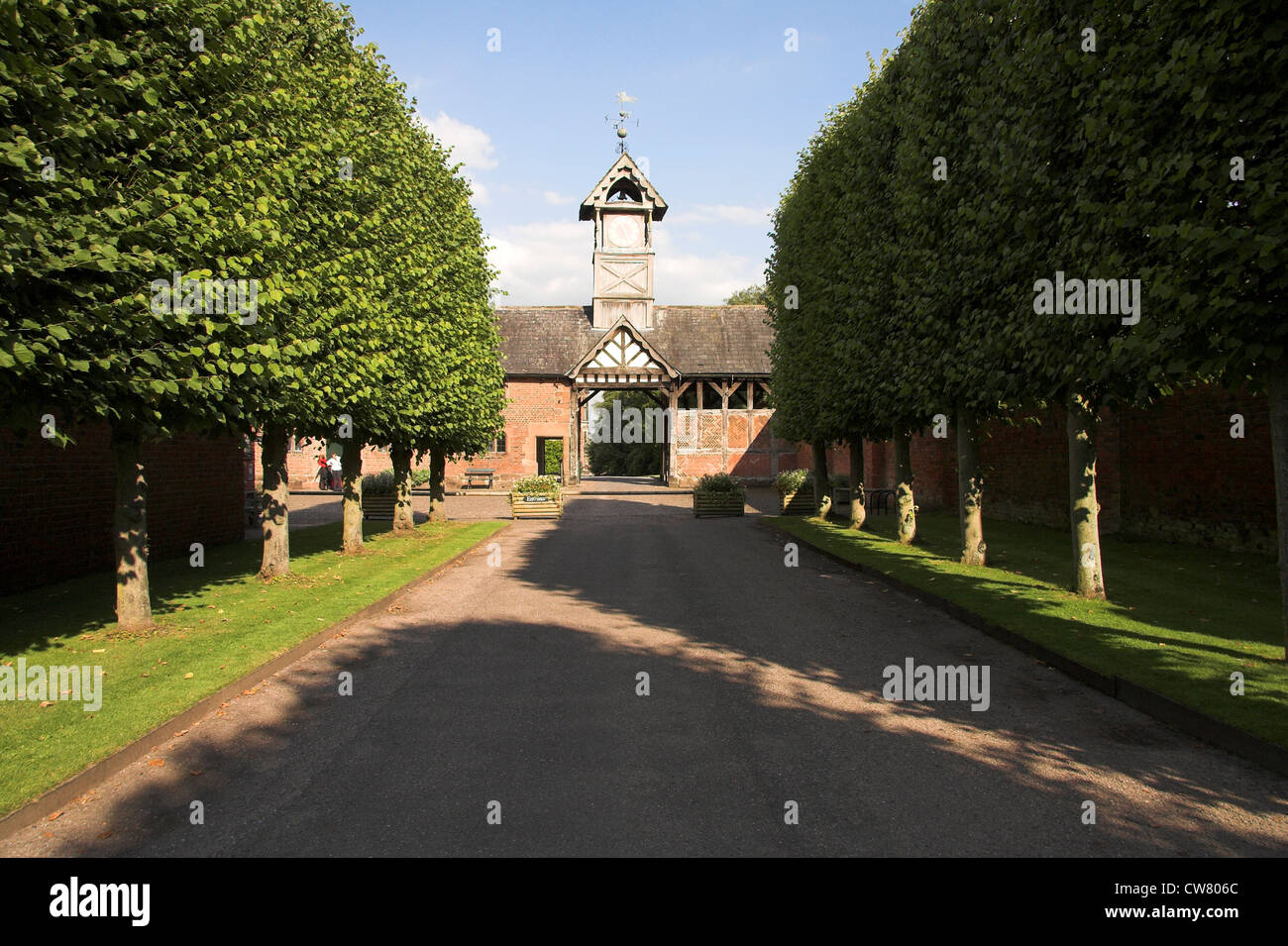 Pleached Lindenallee, hölzernen Glockenturm, Arley Hall und Gärten, Cheshire, UK Stockfoto