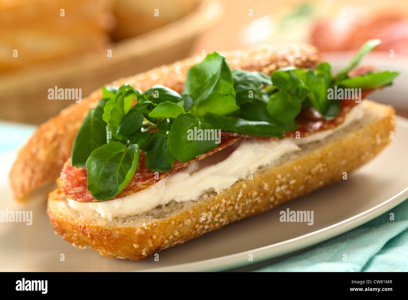 Frische Salami, Frischkäse und Kresse Sandwich auf Teller serviert Stockfoto