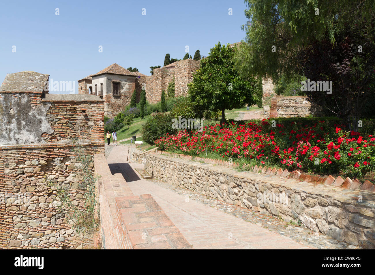 Die Festung Alcazaba in Malaga Spanien Stockfoto