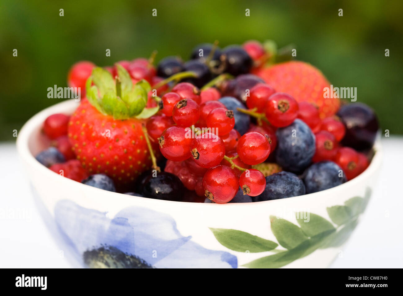 Bunte Sommerbeeren in eine Schüssel geben. Stockfoto