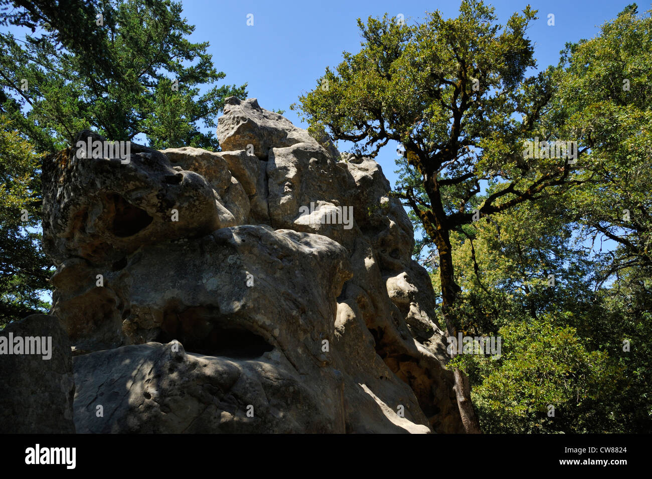 Castle Rock State Park, Santa Cruz Mountains CA Stockfoto