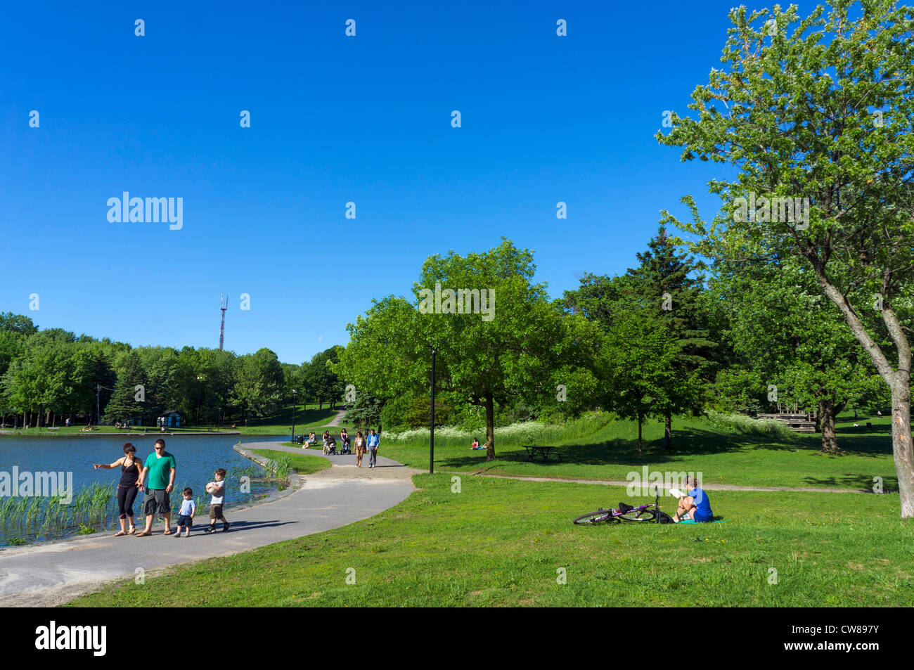 Parc du Mont-Royal (Mount Royal Park) von Lac Aux Rollen (Beaver Lake), Montreal, Quebec, Kanada Stockfoto