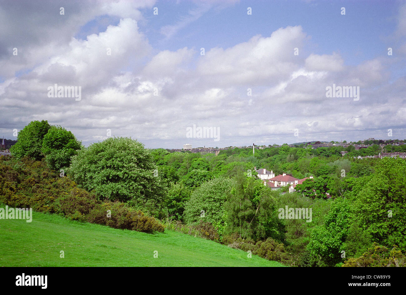 Blick auf Edinburgh vom Blackford Hill Teil der Eremitage von Braid & Blackford Hill, lokale Nature Reserve, Edinburgh, Scotland, UK Stockfoto