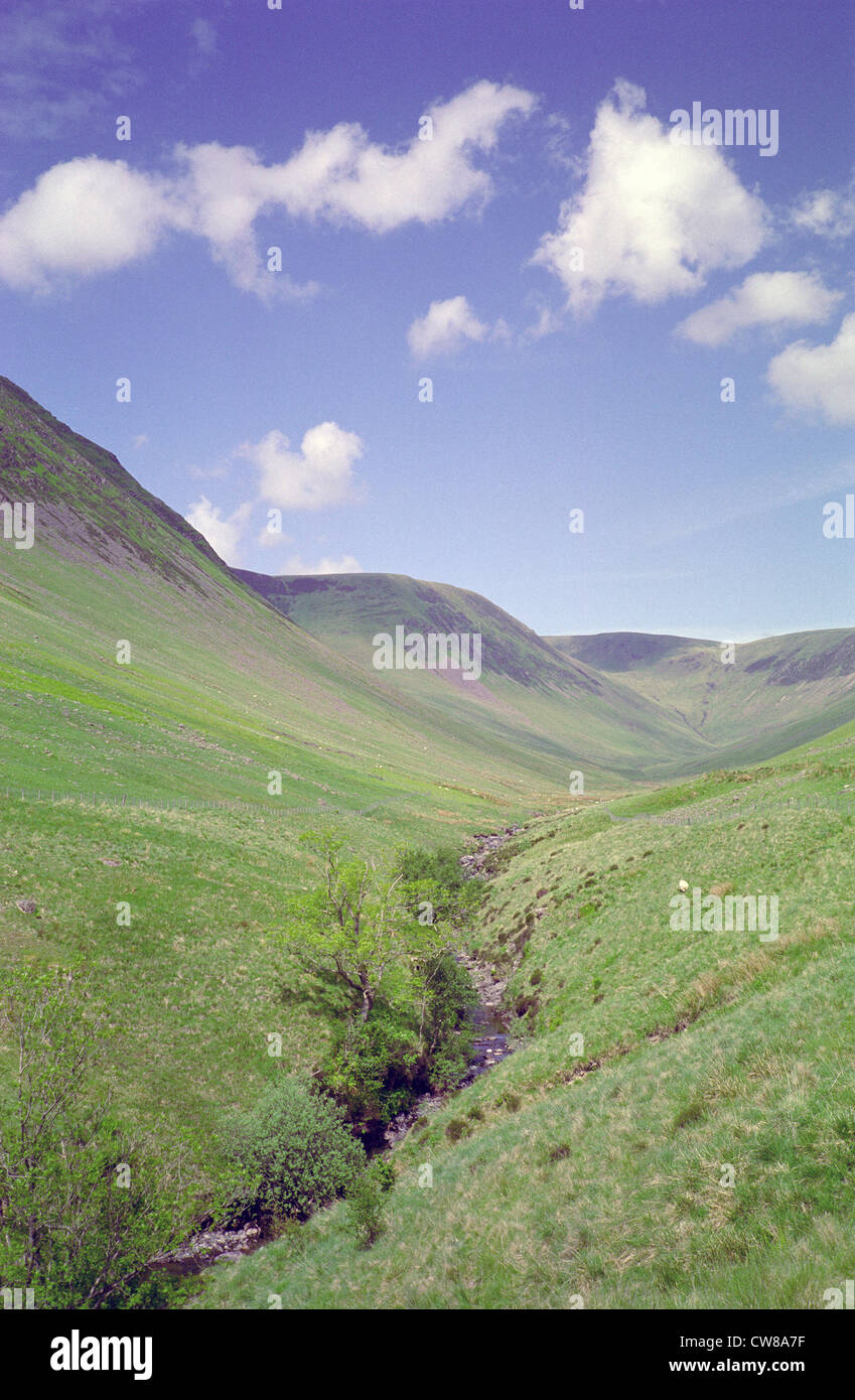 Blackhope Burn Kaskaden durch schwarze Hoffnung Glen, Moffat Dale, Dumfries & Galloway, Schottland, UK Stockfoto