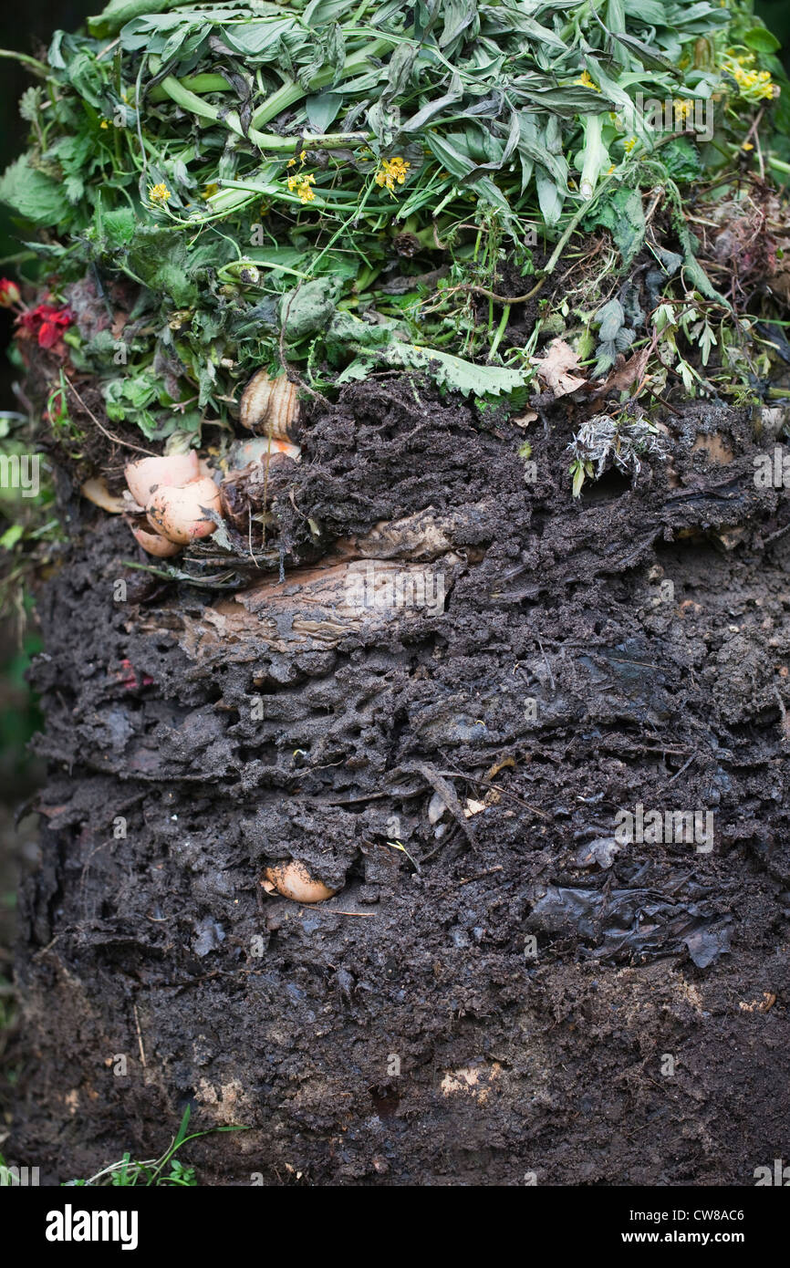 Inhalt einer Kompostierung Ablage. Schichten der Abbau pflanzlicher und Haushalt Gartenabfälle zeigen. Stockfoto