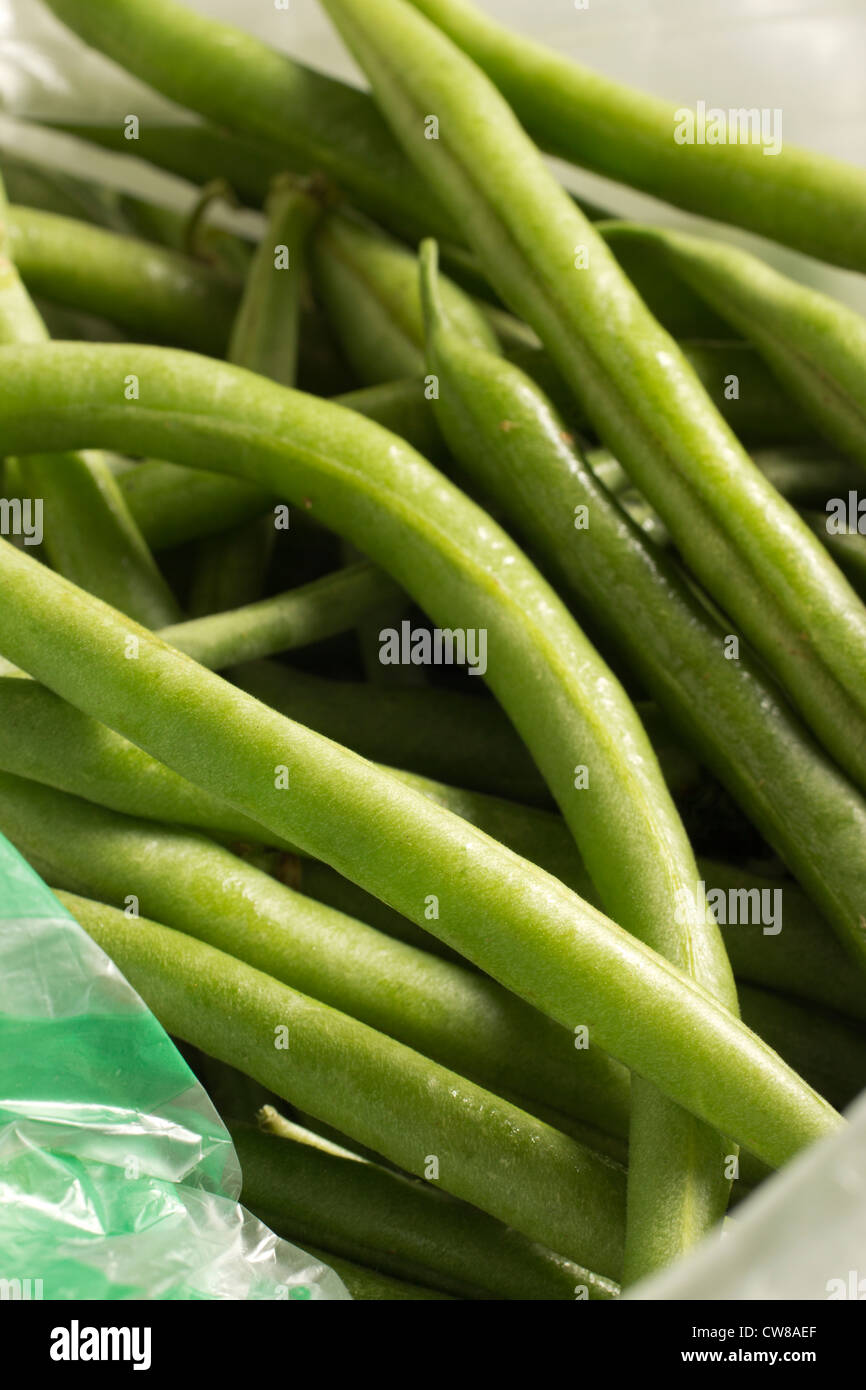 eine Tasche mit frischen grünen Bohnen Stockfoto