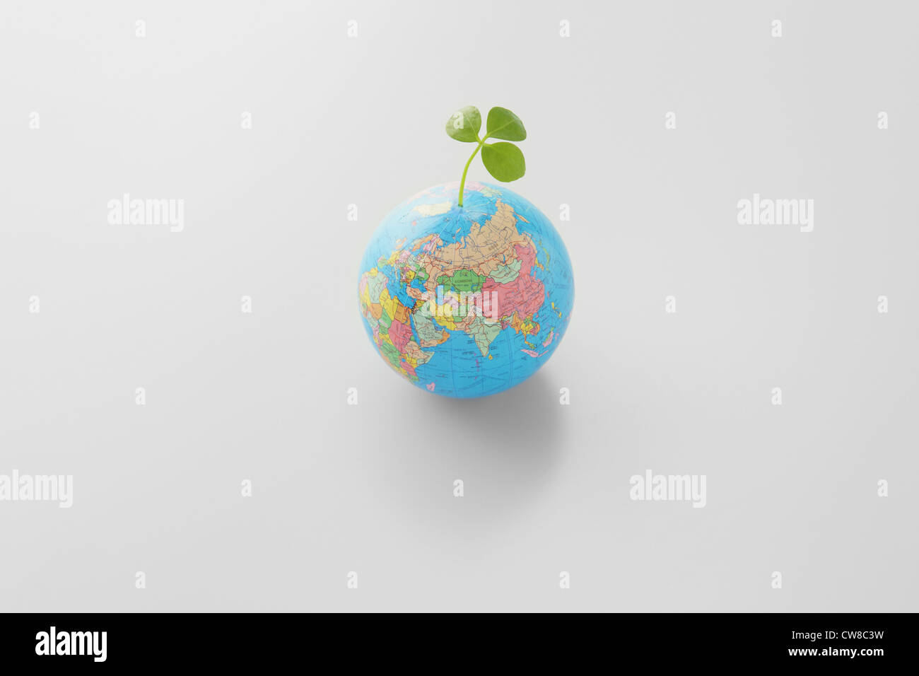 Pflanze wächst auf dem Gipfel der Welt Stockfoto