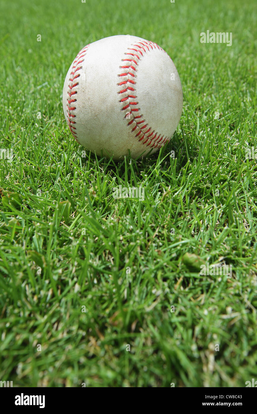 Weiße Cricketball auf Rasen Stockfoto