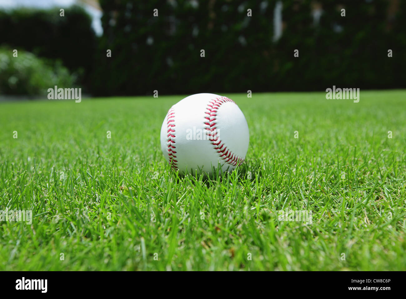 Nahaufnahme der neuen weißen Cricketball Stockfoto