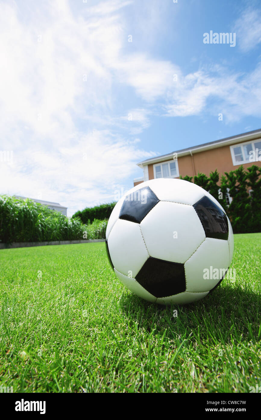 Soccer Ball Stockfoto