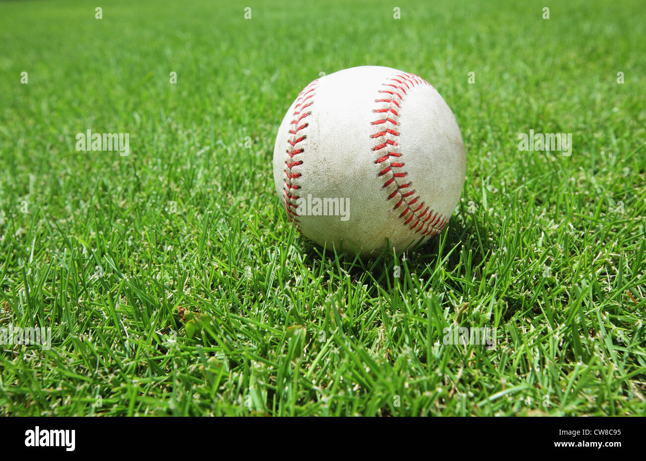 Cricketball auf Rasen Stockfoto