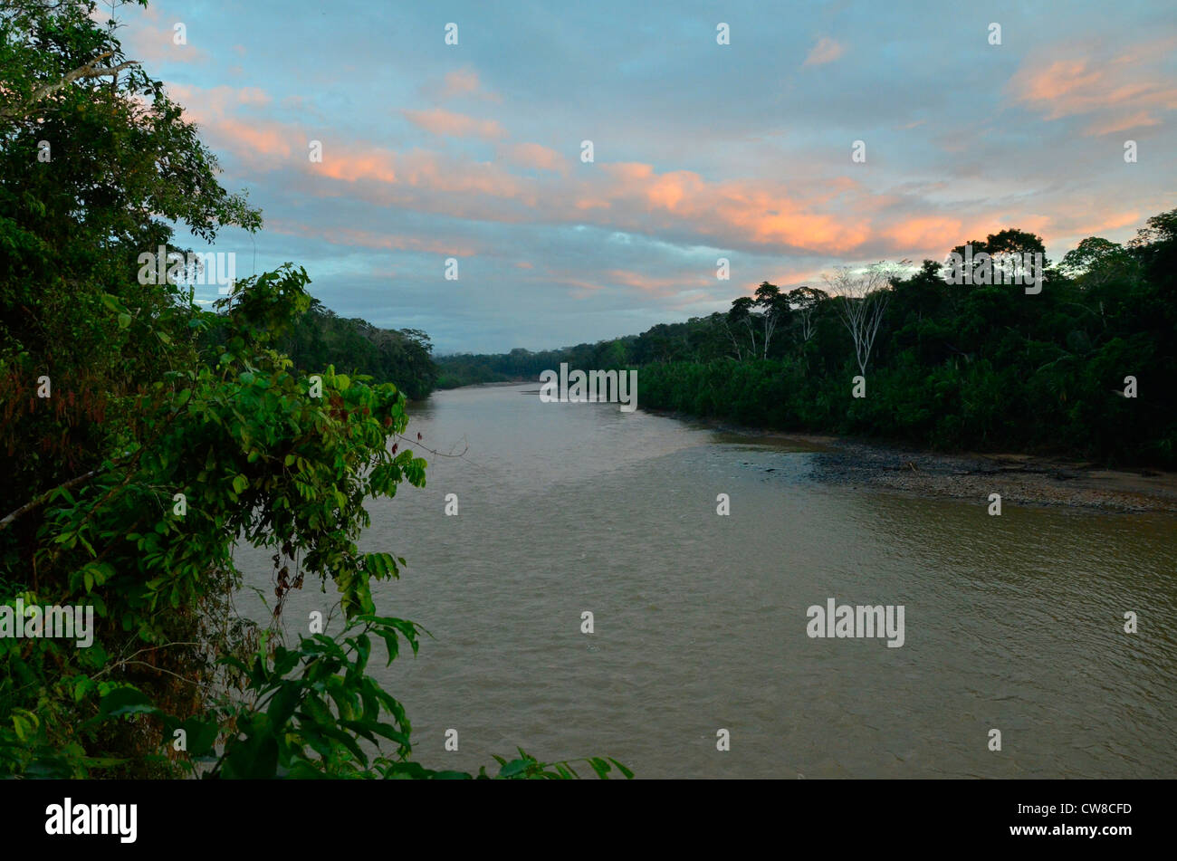 Madidi Nationalpark, Rurrenabaque, Bolivien, Südamerika. Stockfoto