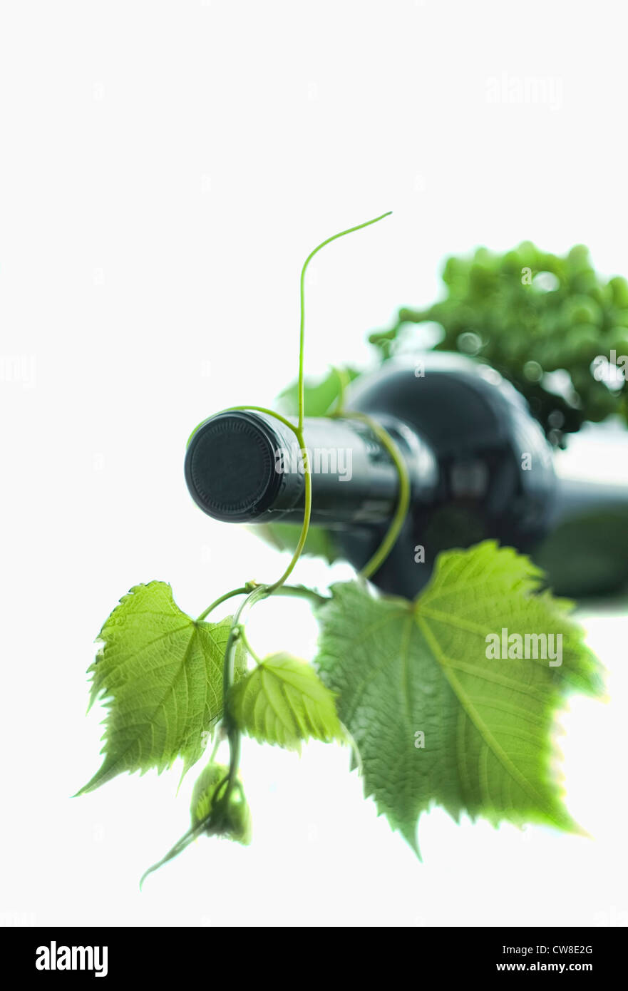 Flasche Wein und grüne Weinblatt Stockfoto