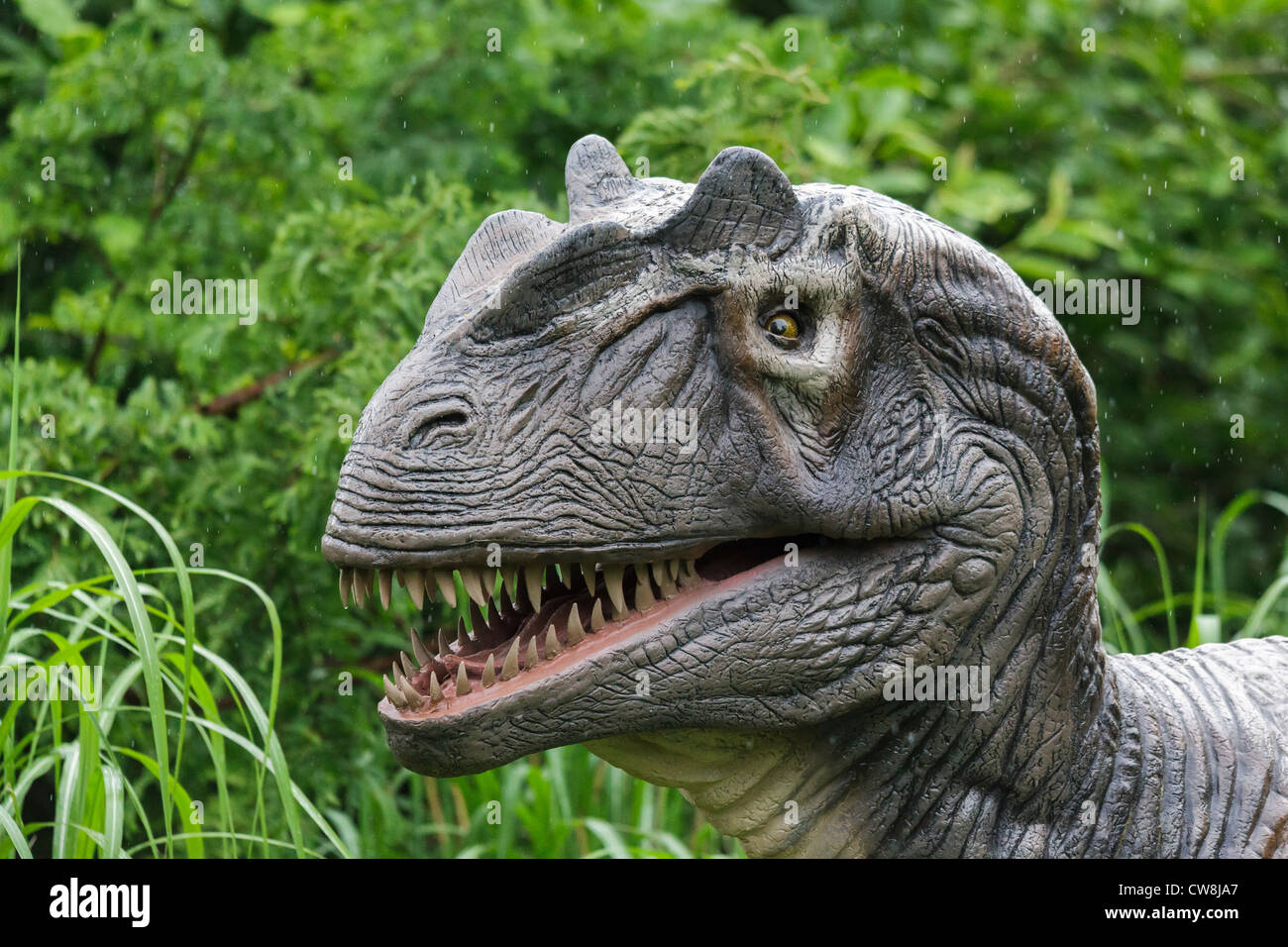 Allosaurus Dinosaurier Animatronic Modell im Zoo von Bristol Stockfoto