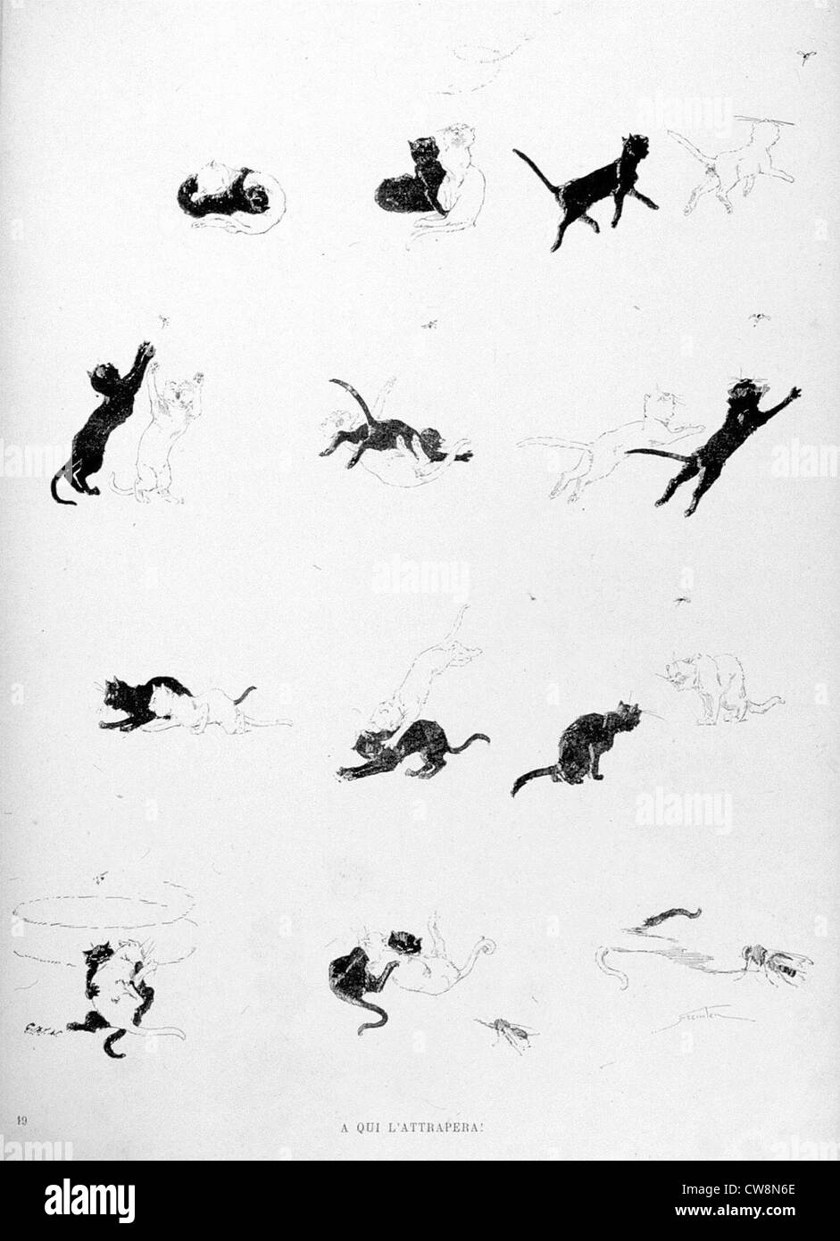 Katzen, die ihn, durch Steinlen fangen Stockfoto