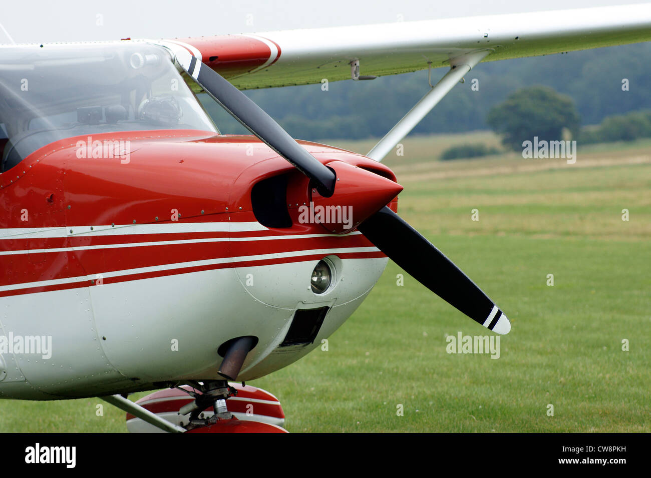 REIMS AVIATION SA, CESSNA F172L SKYHAWK GAZKW Stockfotografie Alamy