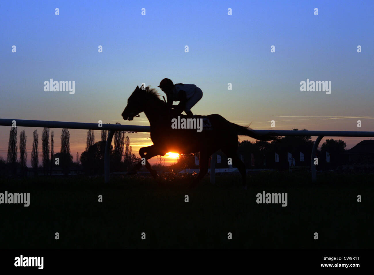 Jockey mit Pferd im Abendlicht Stockfoto