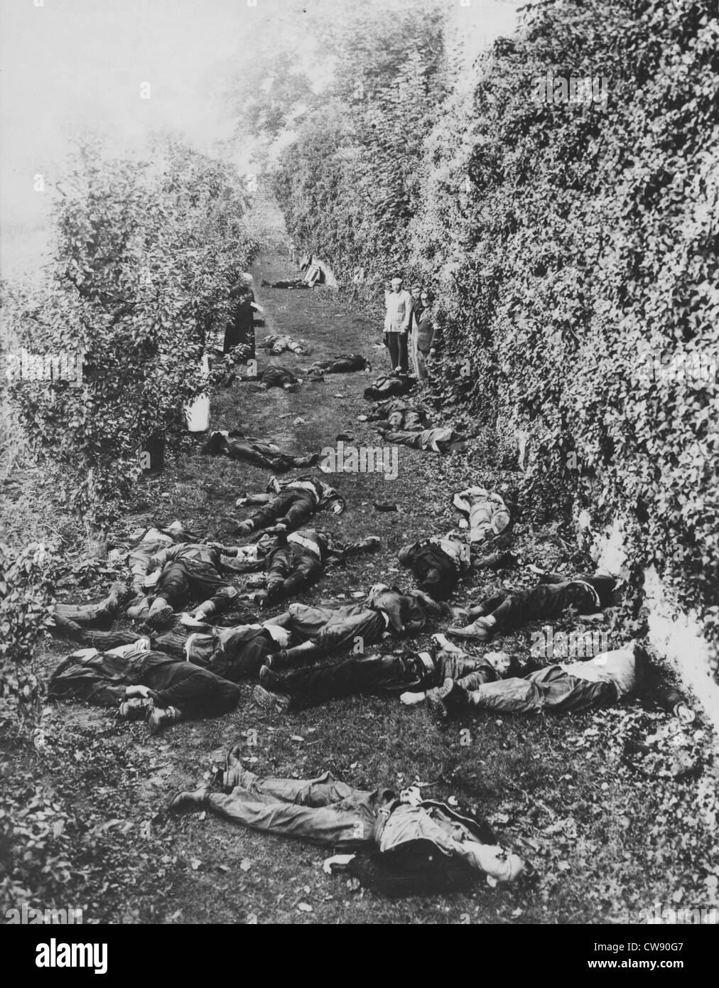 Schlachtung Mitglieder F.F.I. in Autun (September 1944) Stockfoto