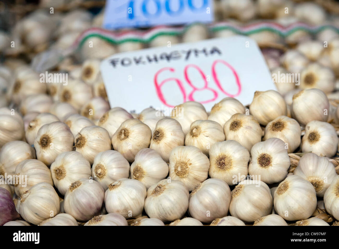 Knoblauch auf Nagycsarnok Markt in Budapest Stockfoto