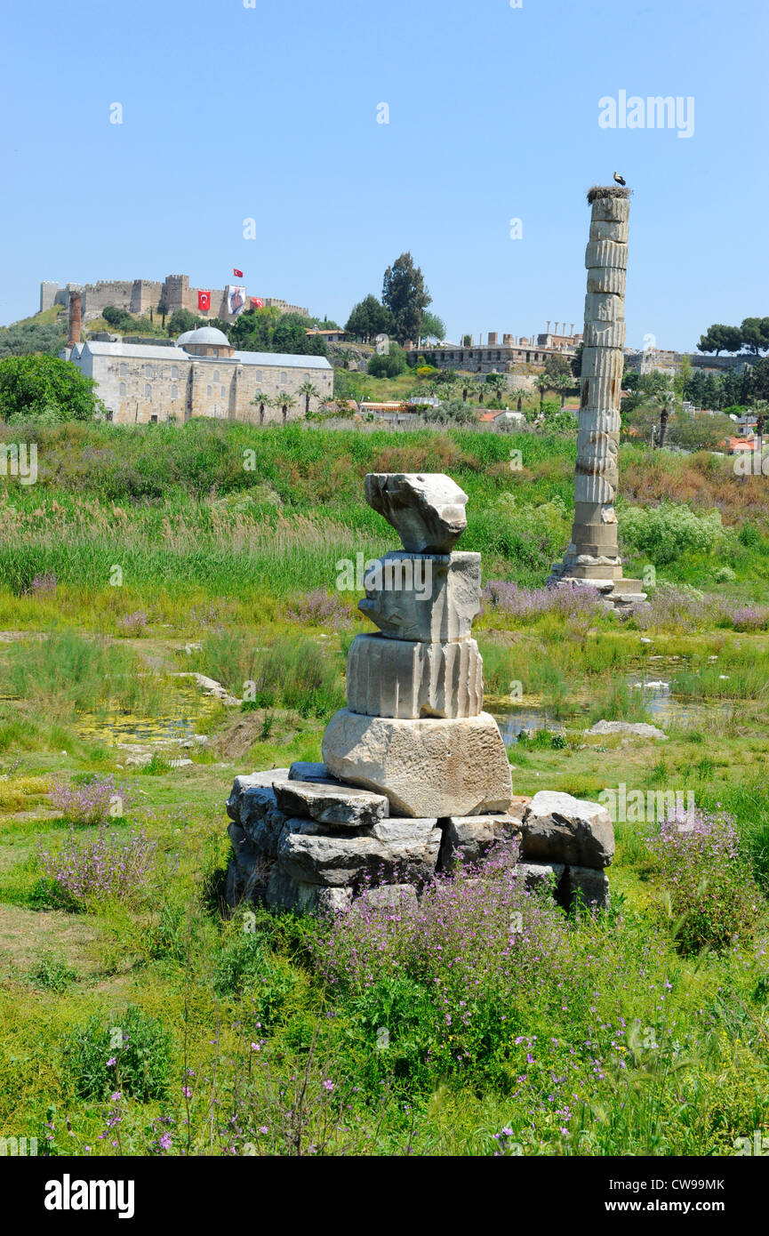 Reste der Artemis Tempel Ephesus-Türkei Kusadasi Ägäis mediterran Stockfoto