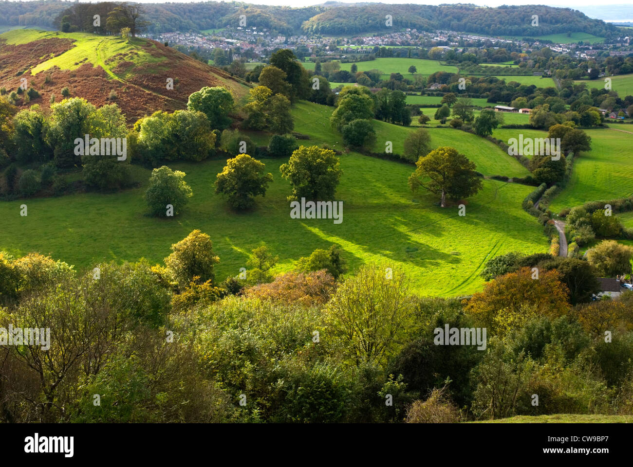 Landschaft der Cotswolds Stockfoto