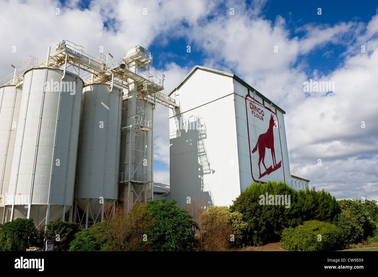 Fremantle, Western Australia - Der Dingo Mehl Zeichen auf der Seite der Great Southern Walze Mühlen in Fremantle, Western Australia Stockfoto