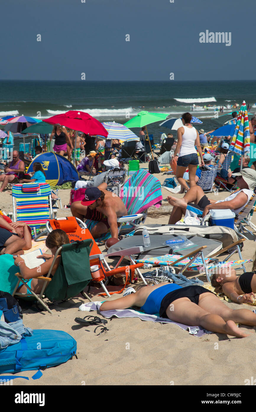 Truro, Massachusetts - überfüllten Head of Meadow Beach in Cape Cod National Seashore. Stockfoto