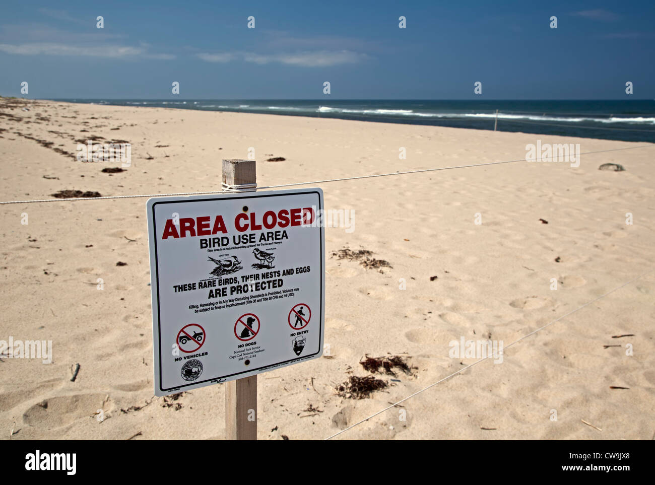 Cape Cod Strand geschlossen, um selten brütende Vögel zu schützen. Stockfoto