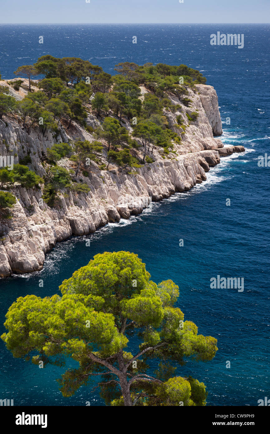 Felsigen Punkt in den Calanques bei Cassis, Bouches-du-Rhône, Cote d ' Azur, Provence Frankreich Stockfoto