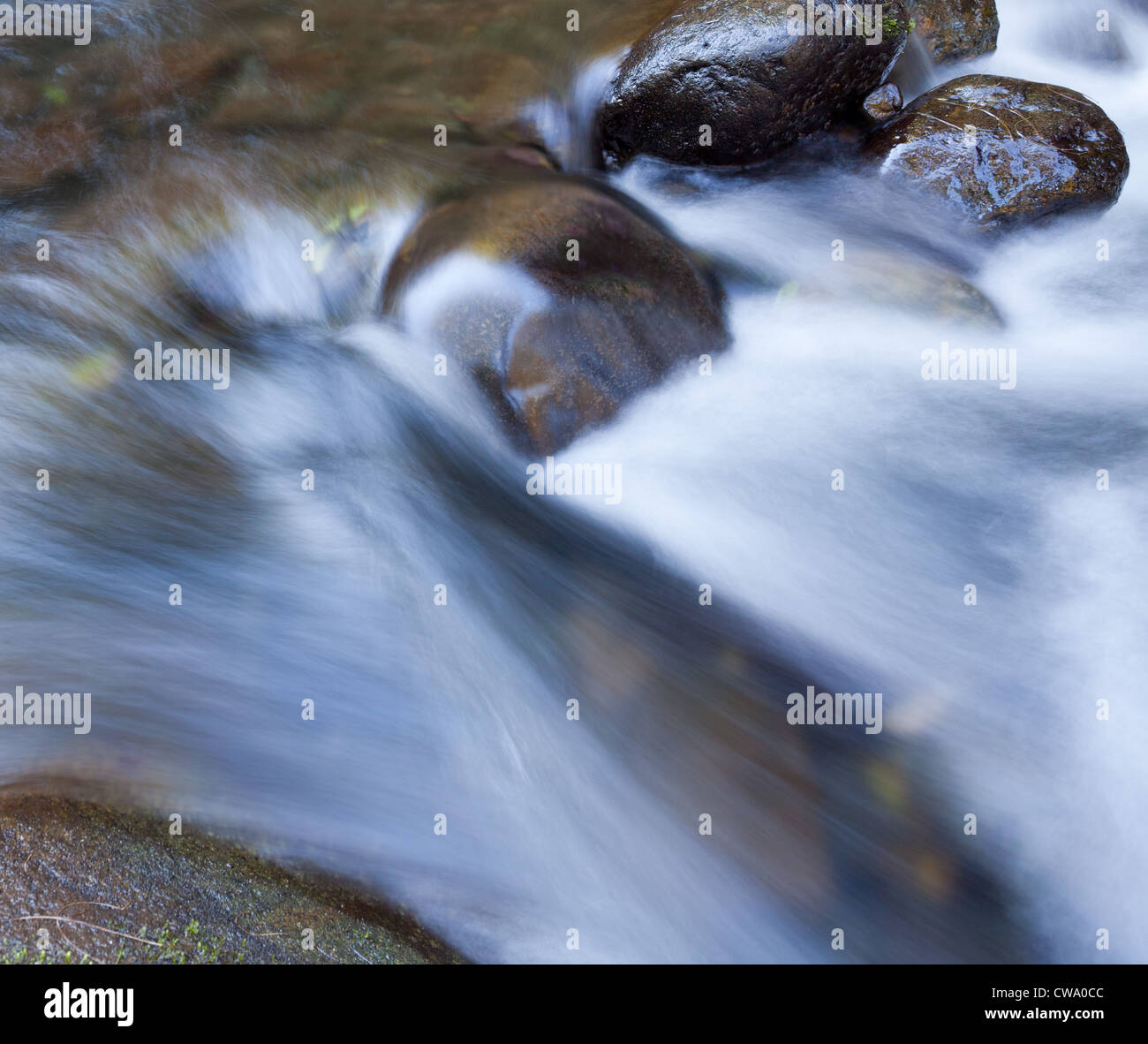 Fließenden Fluss, Barrington Tops Nationalpark, New South Wales, Australien Stockfoto