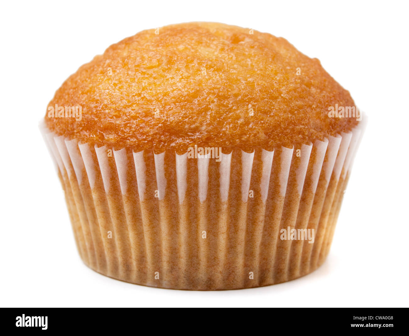 Muffin in einen Pappbecher Muffin isoliert auf weiss Stockfoto