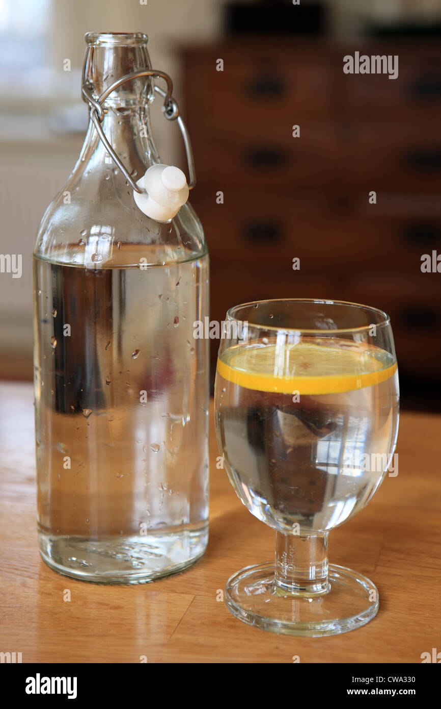 Flasche und Glas Wasser mit einer Scheibe Zitrone Stockfoto
