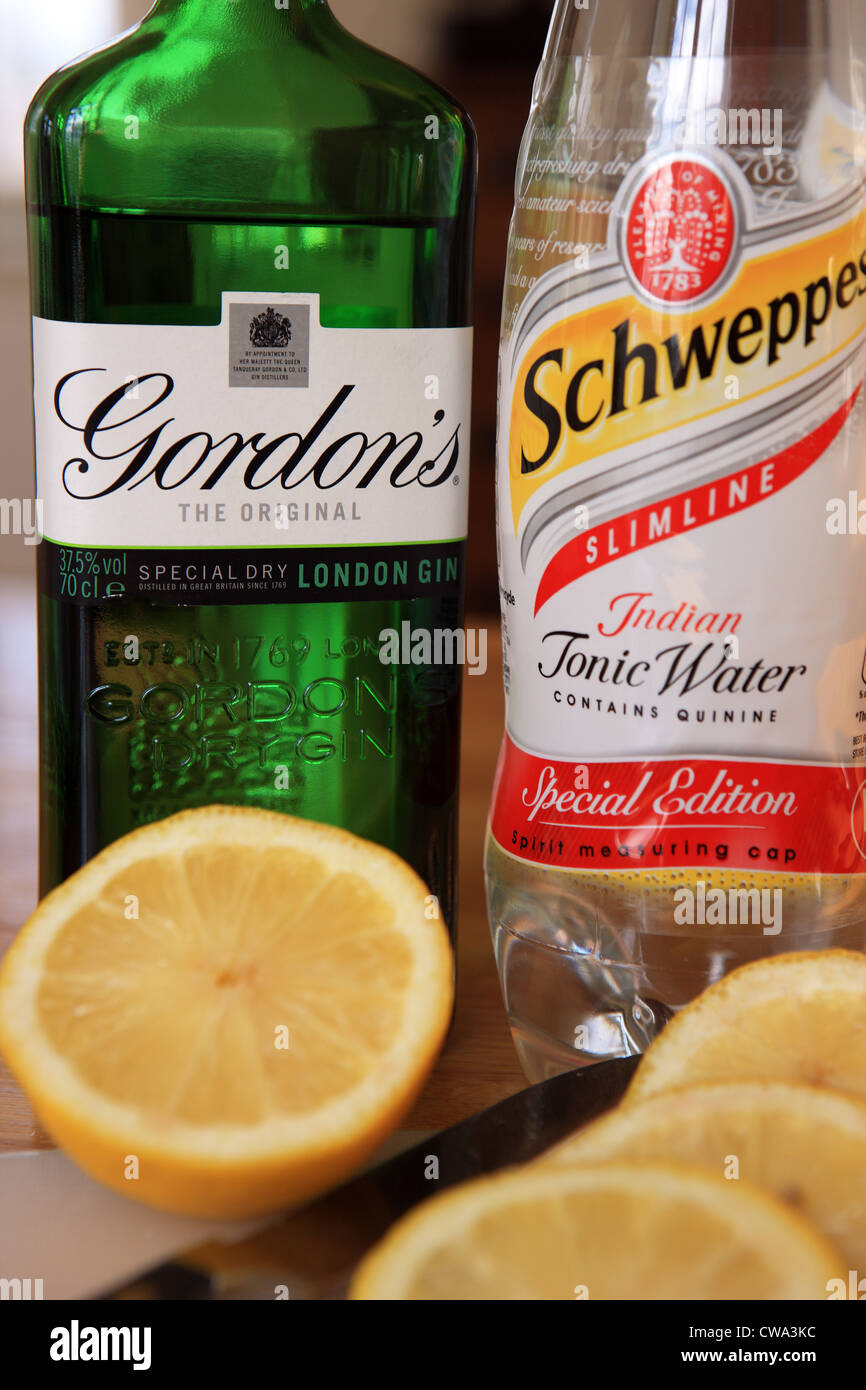 Flaschen von Gordons Gin und Tonic Wasser zusammen mit Zitronenscheiben Stockfoto