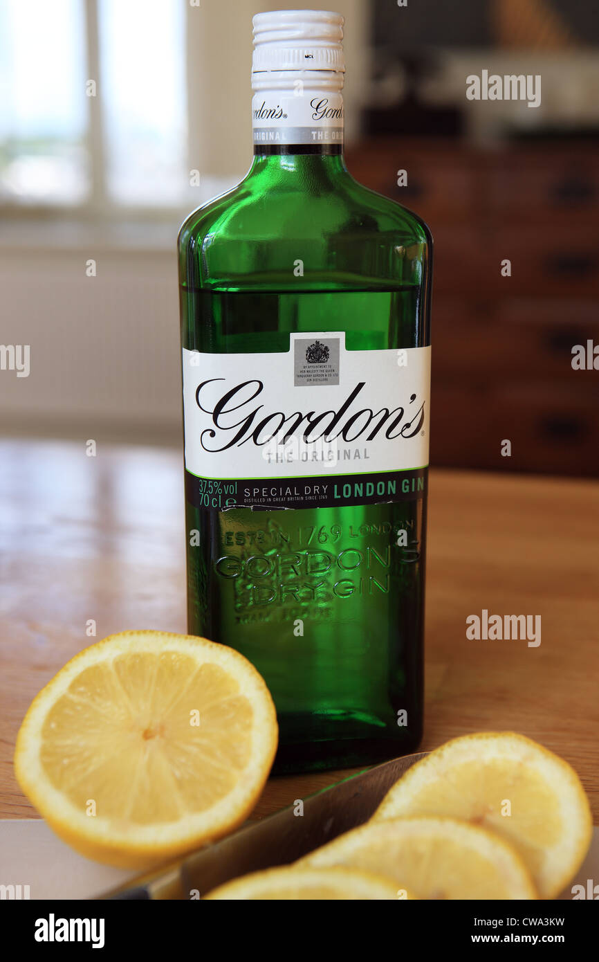 Flasche Gordons Gin auf einem Tisch zusammen mit Zitrone und einige Scheiben Stockfoto