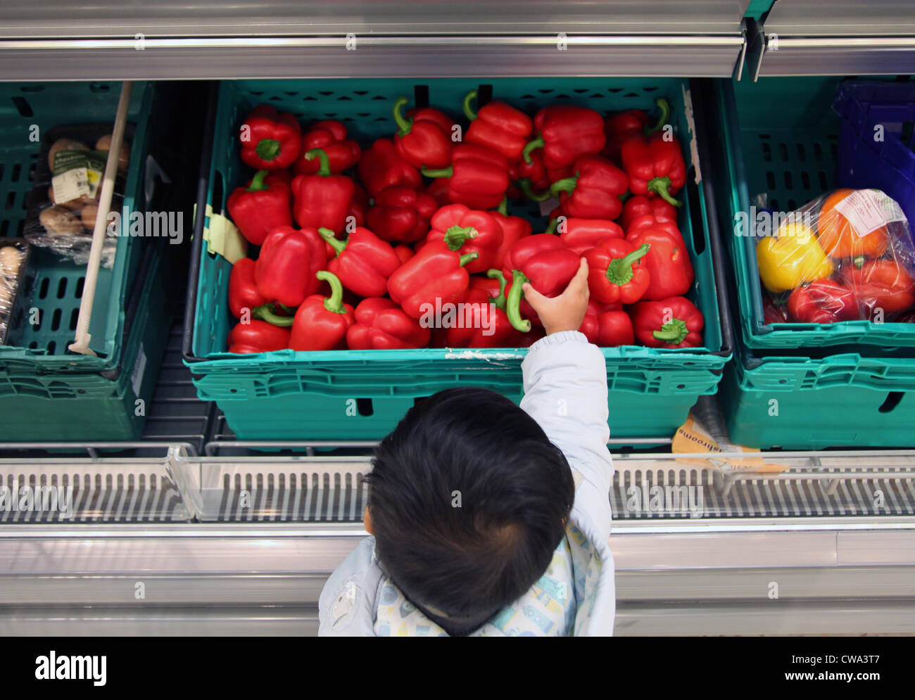 Es ist ein Foto von Paprika in Großaufnahme in einem grünen Korb oder Kiste in einem Supermarkt. Ein kleiner Junge versucht, einer von ihnen zu greifen. Stockfoto
