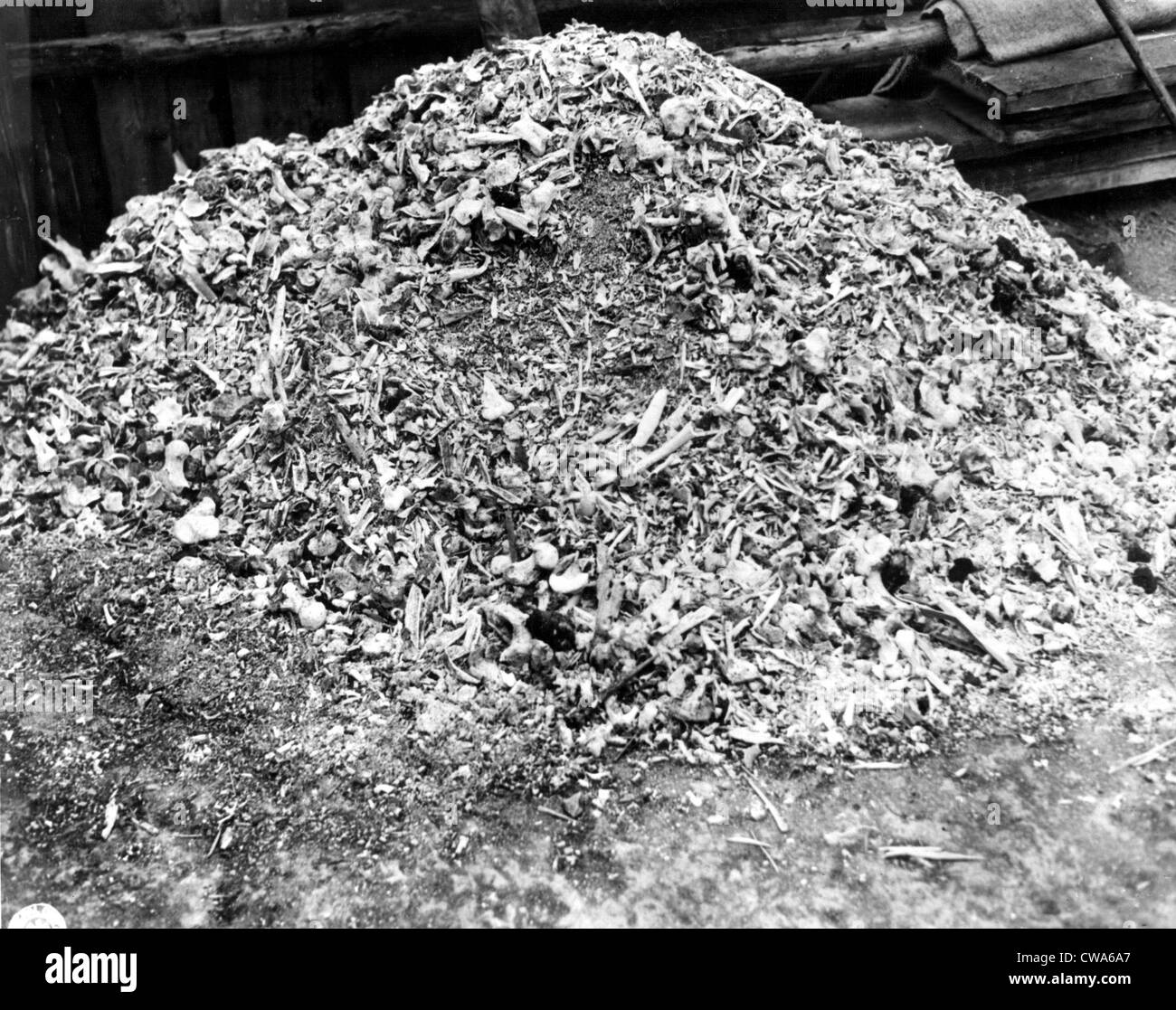 WEIMAR, Deutschland--dieser Haufen Asche und Knochen steht für einen einzigen Tag Tötung an das deutsche Konzentrationslager Weimar. Stockfoto
